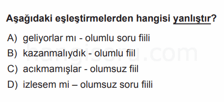 Soru 11