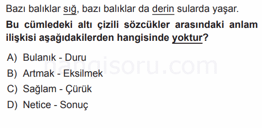 Soru 1