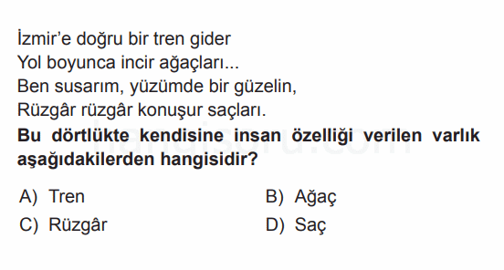 Soru 6