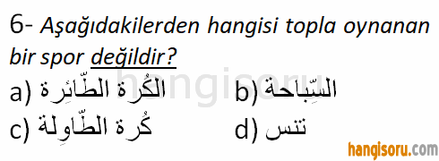 Soru 6