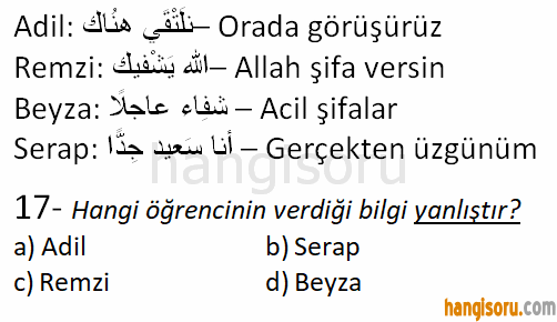 Soru 17