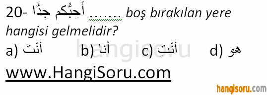 Soru 20