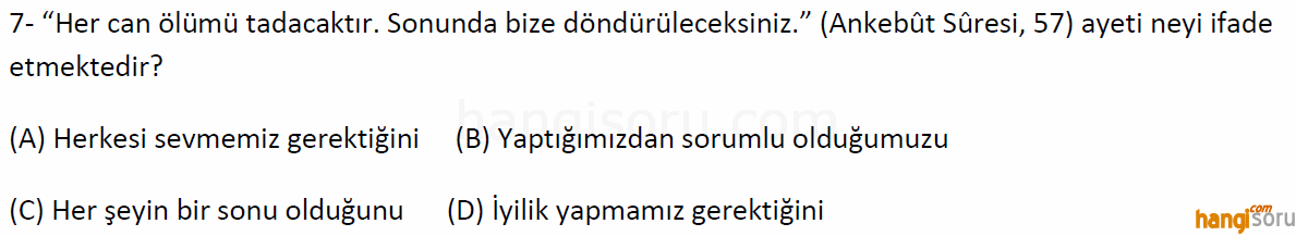 Soru 7