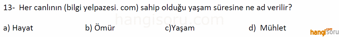 Soru 13