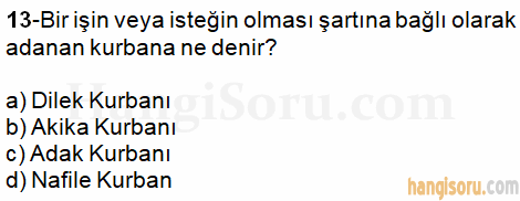 Soru 13