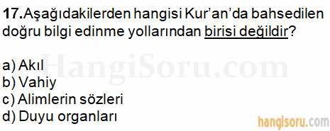 Soru 17