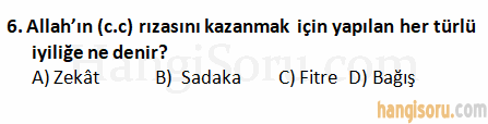 Soru 6