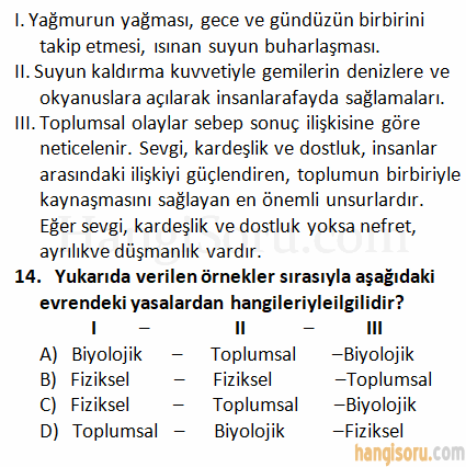 Soru 13