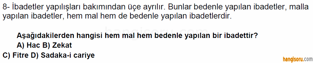 Soru 8