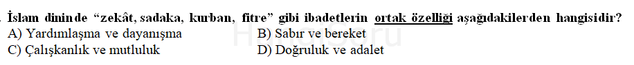 Soru 17