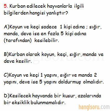 Soru 5