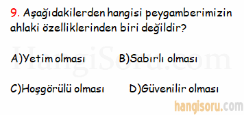 Soru 9