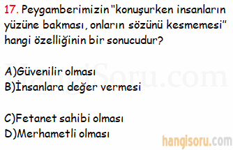 Soru 17