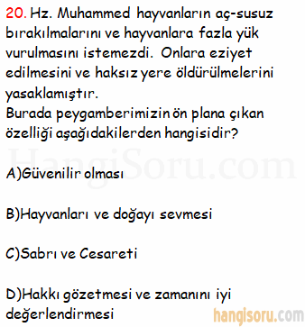 Soru 20