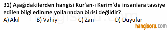Soru 31