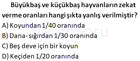 Soru 16