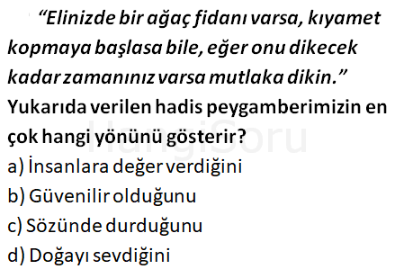 Soru 18
