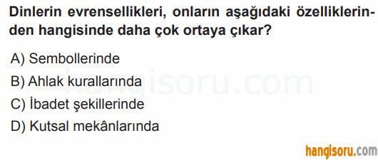 Soru 7