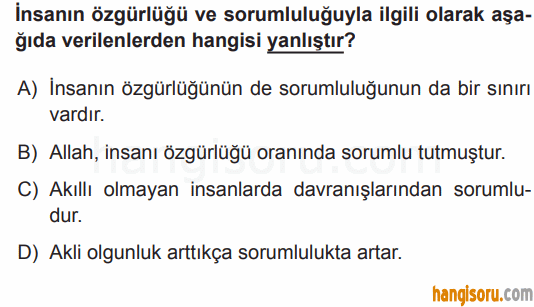 Soru 1