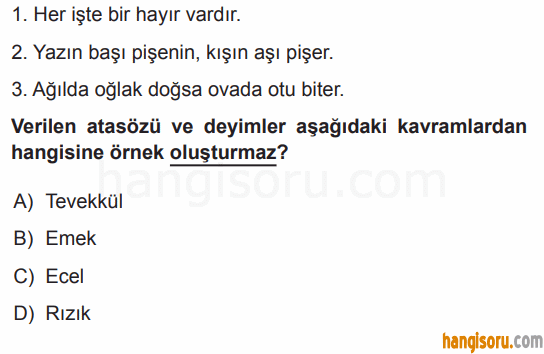 Soru 4