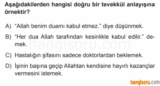 Soru 4