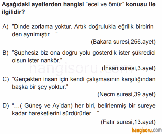 Soru 11