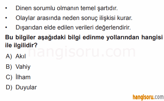 Soru 8