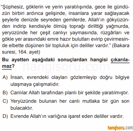 Soru 12