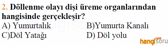 Soru 2