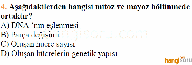 Soru 4