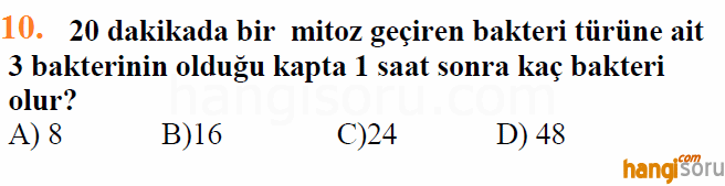 Soru 10