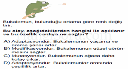 Soru 4