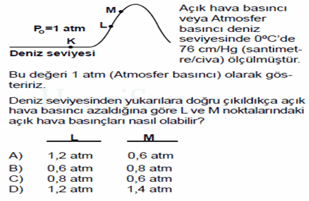 Soru 10