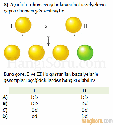 Soru 3