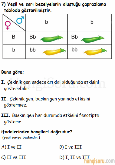 Soru 7