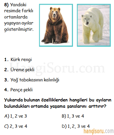 Soru 8