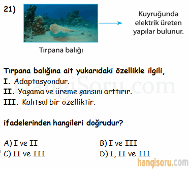 Soru 21