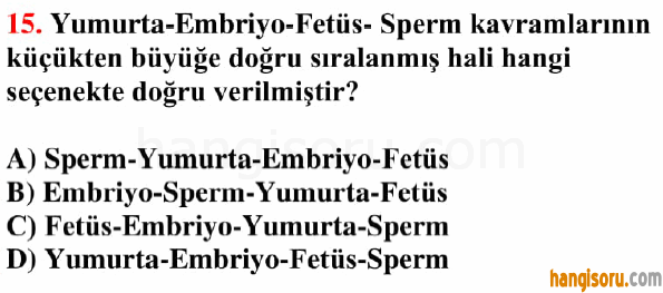 Soru 15