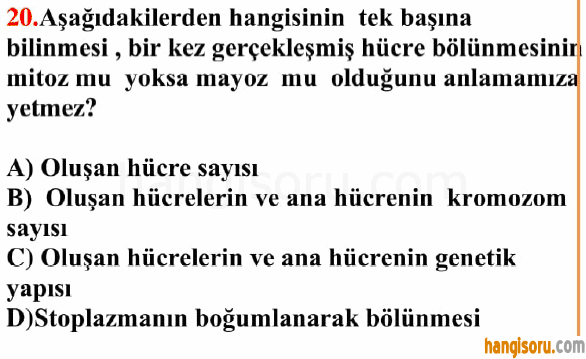 Soru 20
