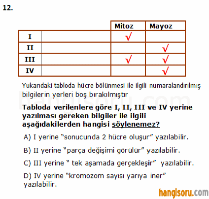Soru 12