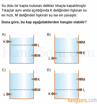 Soru 1