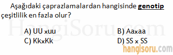Soru 6