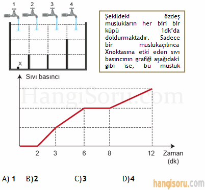 Soru 22