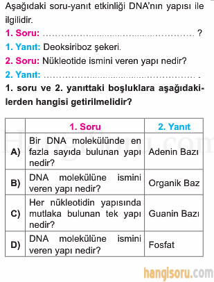 Soru 23