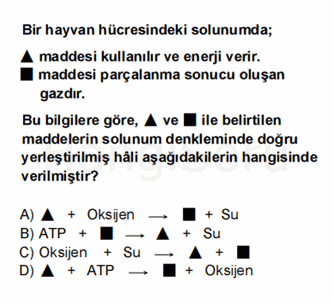 Soru 4