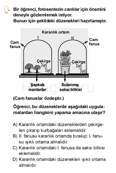 Soru 5