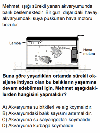 Soru 10