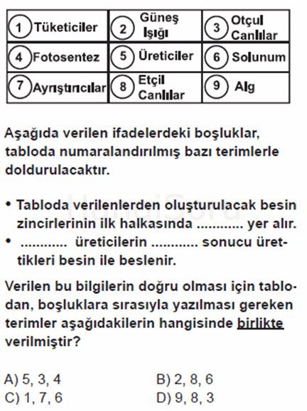 Soru 42