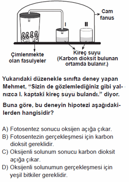 Soru 44