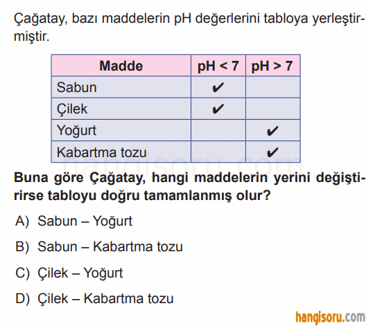 Soru 8